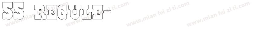 55 regule字体转换